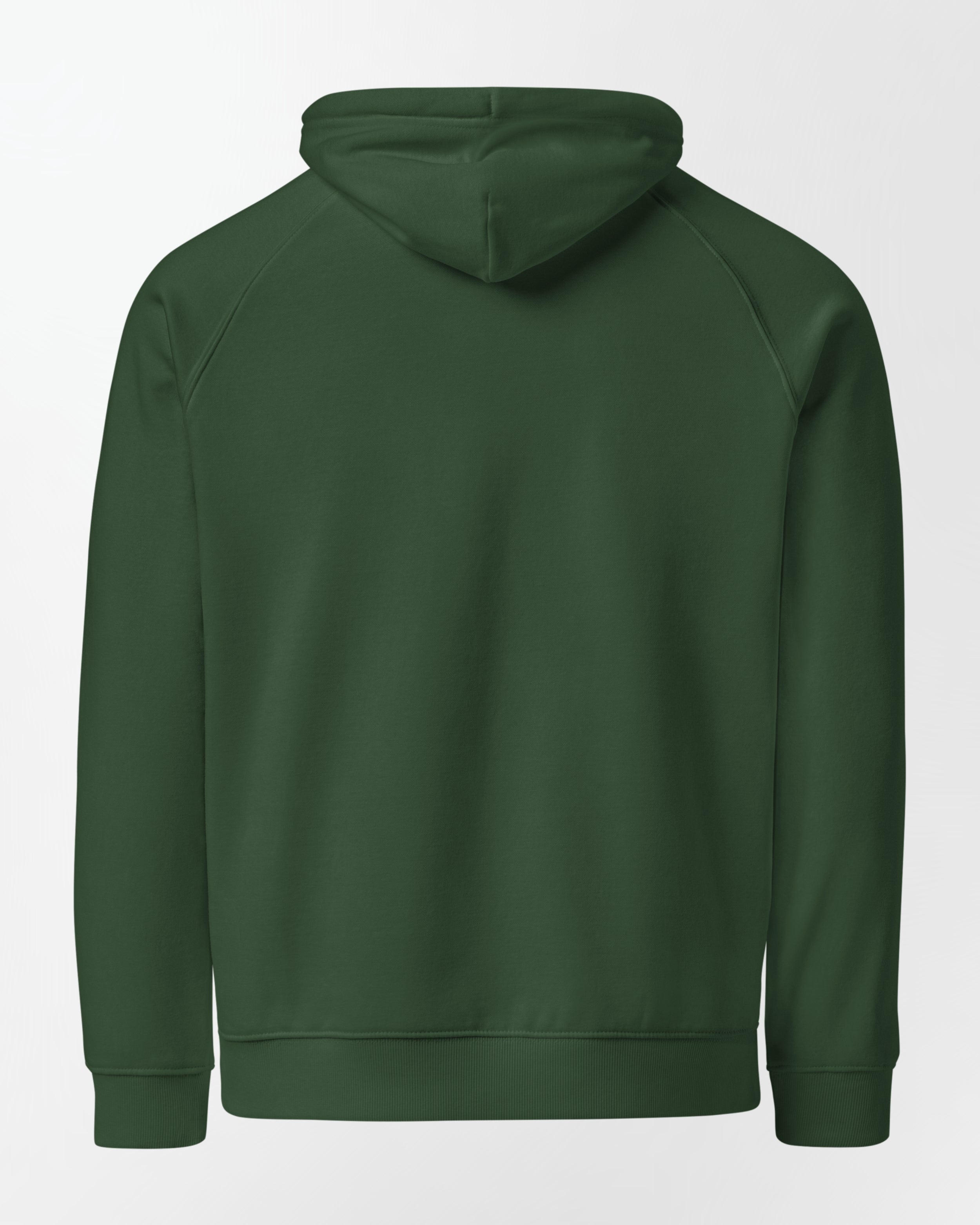 Sweat à capuche AMBITION Vert